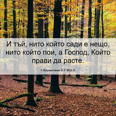 Picture 06 - 1 Коринтяни 3:7 BULG - И тъй, нито който сади е - Bible Verse Picture
