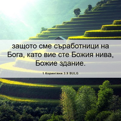 Picture 06 - 1 Коринтяни 3:9 BULG - защото сме съработници на - Bible Verse Picture
