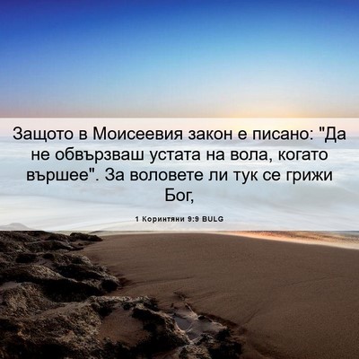 Picture 06 - 1 Коринтяни 9:9 BULG - Защото в Моисеевия закон е - Bible Verse Picture