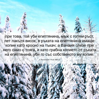 Picture 06 - 1 Летописи 11:23 BULG - при това, той уби - Bible Verse Picture