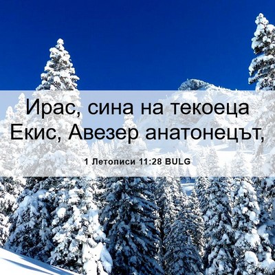 Picture 06 - 1 Летописи 11:28 BULG - Ирас, сина на текоеца Екис, - Bible Verse Picture