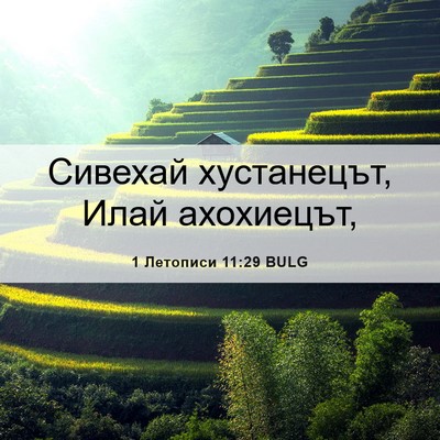 Picture 06 - 1 Летописи 11:29 BULG - Сивехай хустанецът, Илай - Bible Verse Picture