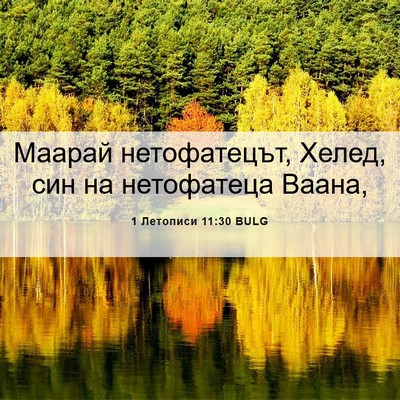 Picture 06 - 1 Летописи 11:30 BULG - Маарай нетофатецът, Хелед, - Bible Verse Picture