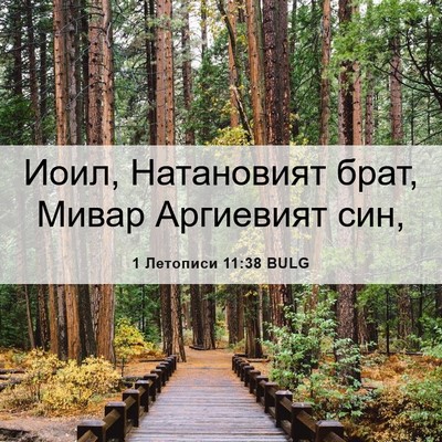 Picture 06 - 1 Летописи 11:38 BULG - Иоил, Натановият брат, - Bible Verse Picture
