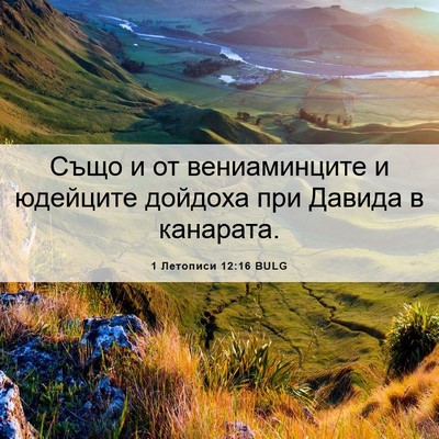 Picture 06 - 1 Летописи 12:16 BULG - Също и от вениаминците и - Bible Verse Picture