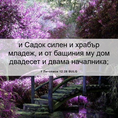 Picture 06 - 1 Летописи 12:28 BULG - и Садок силен и храбър - Bible Verse Picture