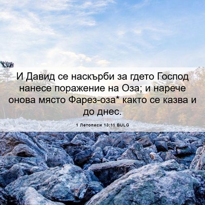 Picture 06 - 1 Летописи 13:11 BULG - И Давид се наскърби за - Bible Verse Picture