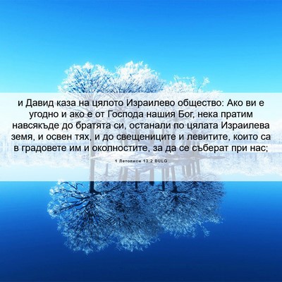 Picture 06 - 1 Летописи 13:2 BULG - и Давид каза на цялото - Bible Verse Picture