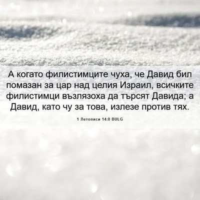 Picture 06 - 1 Летописи 14:8 BULG - А когато филистимците - Bible Verse Picture
