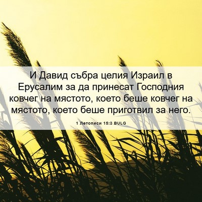 Picture 06 - 1 Летописи 15:3 BULG - И Давид събра целия Израил - Bible Verse Picture