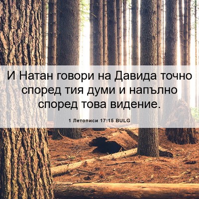 Picture 06 - 1 Летописи 17:15 BULG - И Натан говори на Давида - Bible Verse Picture