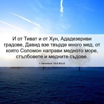 Picture 06 - 1 Летописи 18:8 BULG - И от Тиват и от Хун, - Bible Verse Picture