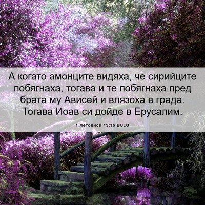 Picture 06 - 1 Летописи 19:15 BULG - А когато амонците видяха, - Bible Verse Picture