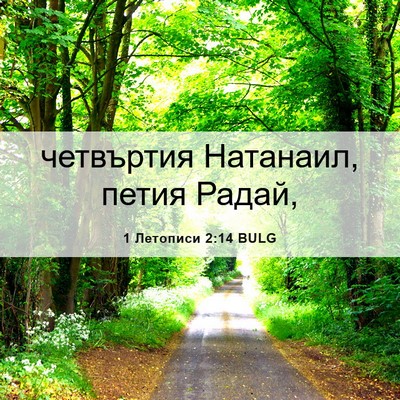 Picture 06 - 1 Летописи 2:14 BULG - четвъртия Натанаил, петия - Bible Verse Picture
