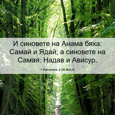 Picture 06 - 1 Летописи 2:28 BULG - И синовете на Анама бяха: - Bible Verse Picture
