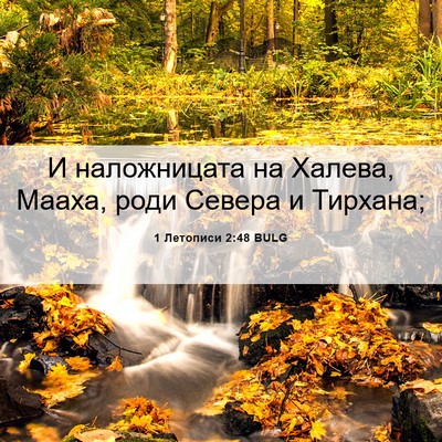 Picture 06 - 1 Летописи 2:48 BULG - И наложницата на Халева, - Bible Verse Picture