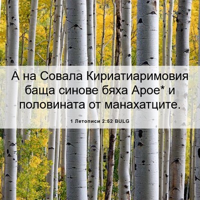 Picture 06 - 1 Летописи 2:52 BULG - А на Совала - Bible Verse Picture