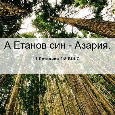 Picture 06 - 1 Летописи 2:8 BULG - А Етанов син - - Bible Verse Picture