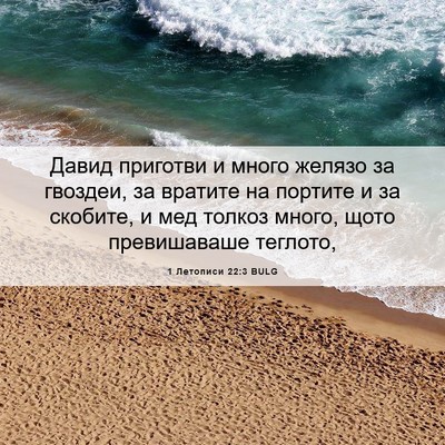 Picture 06 - 1 Летописи 22:3 BULG - Давид приготви и много - Bible Verse Picture