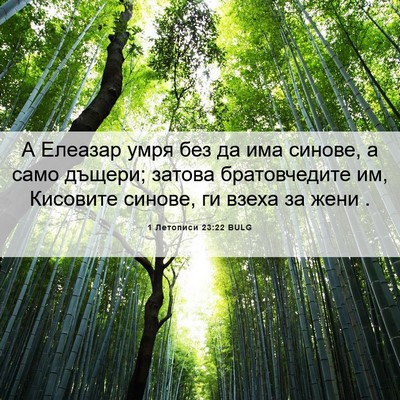 Picture 06 - 1 Летописи 23:22 BULG - А Елеазар умря без да има - Bible Verse Picture