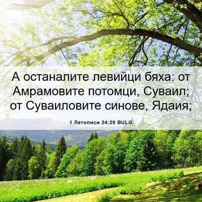 Picture 06 - 1 Летописи 24:20 BULG - А останалите левийци бяха: - Bible Verse Picture