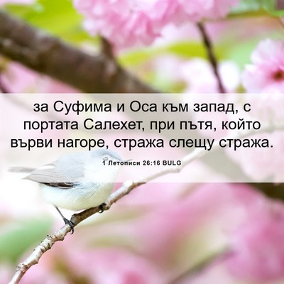 Picture 06 - 1 Летописи 26:16 BULG - за Суфима и Оса към запад, с - Bible Verse Picture