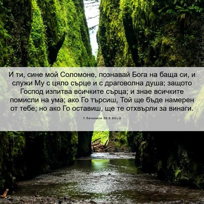 Picture 06 - 1 Летописи 28:9 BULG - И ти, сине мой Соломоне, - Bible Verse Picture