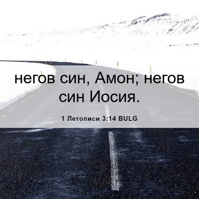Picture 06 - 1 Летописи 3:14 BULG - негов син, Амон; негов син - Bible Verse Picture