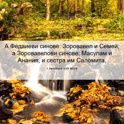 Picture 06 - 1 Летописи 3:19 BULG - А Федаиеви синове: - Bible Verse Picture