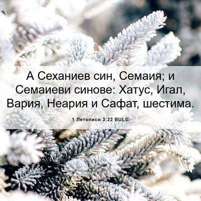 Picture 06 - 1 Летописи 3:22 BULG - А Сеханиев син, Семаия; и - Bible Verse Picture
