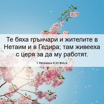 Picture 06 - 1 Летописи 4:23 BULG - Те бяха грънчари и - Bible Verse Picture