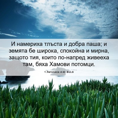 Picture 06 - 1 Летописи 4:40 BULG - И намериха тлъста и добра - Bible Verse Picture