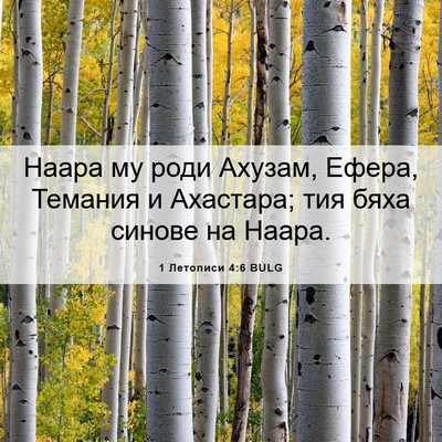 Picture 06 - 1 Летописи 4:6 BULG - Наара му роди Ахузам, - Bible Verse Picture