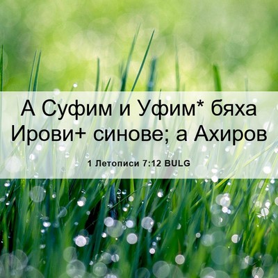 Picture 06 - 1 Летописи 7:12 BULG - А Суфим и Уфим* бяха Ирови+ - Bible Verse Picture