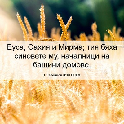 Picture 06 - 1 Летописи 8:10 BULG - Еуса, Сахия и Мирма; тия - Bible Verse Picture