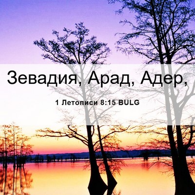 Picture 06 - 1 Летописи 8:15 BULG - Зевадия, Арад, - Bible Verse Picture