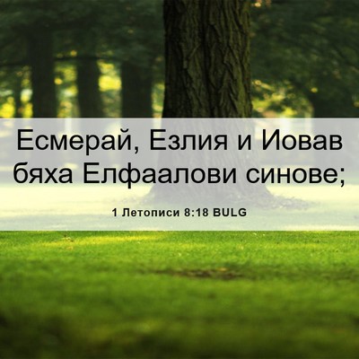 Picture 06 - 1 Летописи 8:18 BULG - Есмерай, Езлия и Иовав бяха - Bible Verse Picture