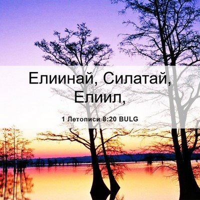 Picture 06 - 1 Летописи 8:20 BULG - Елиинай, Силатай, - Bible Verse Picture