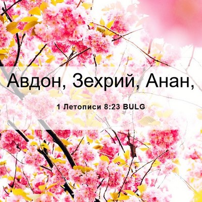 Picture 06 - 1 Летописи 8:23 BULG - Авдон, Зехрий, - Bible Verse Picture