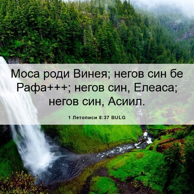 Picture 06 - 1 Летописи 8:37 BULG - Моса роди Винея; негов син - Bible Verse Picture