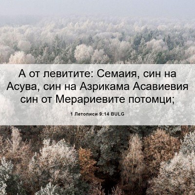 Picture 06 - 1 Летописи 9:14 BULG - А от левитите: Семаия, син - Bible Verse Picture
