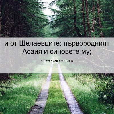 Picture 06 - 1 Летописи 9:5 BULG - и от Шелаевците: - Bible Verse Picture