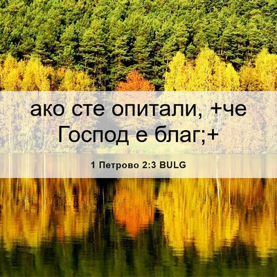 Picture 06 - 1 Петрово 2:3 BULG - ако сте опитали, +че Господ - Bible Verse Picture