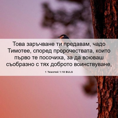 Picture 06 - 1 Тимотей 1:18 BULG - Това заръчване ти - Bible Verse Picture