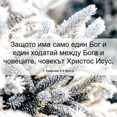 Picture 06 - 1 Тимотей 2:5 BULG - Защото има само един Бог и - Bible Verse Picture