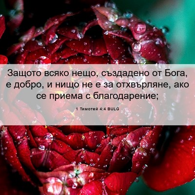 Picture 06 - 1 Тимотей 4:4 BULG - Защото всяко нещо, - Bible Verse Picture