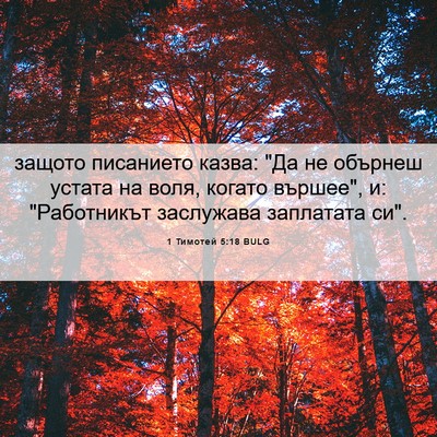 Picture 06 - 1 Тимотей 5:18 BULG - защото писанието казва: 