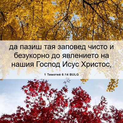 Picture 06 - 1 Тимотей 6:14 BULG - да пазиш тая заповед чисто - Bible Verse Picture