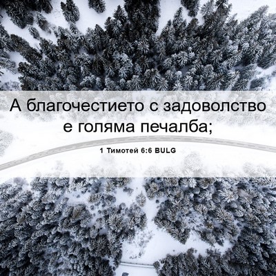 Picture 06 - 1 Тимотей 6:6 BULG - А благочестието с - Bible Verse Picture