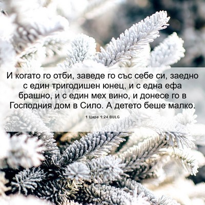 Picture 06 - 1 Царе 1:24 BULG - И когато го отби, заведе го - Bible Verse Picture